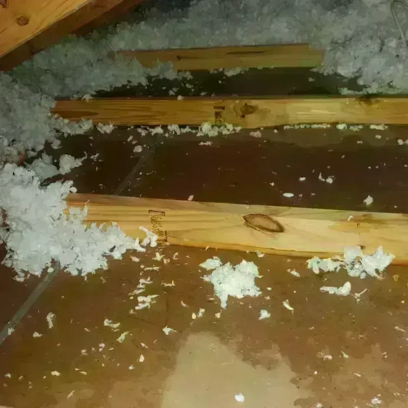 Attic Water Damage in Big Lake, WA