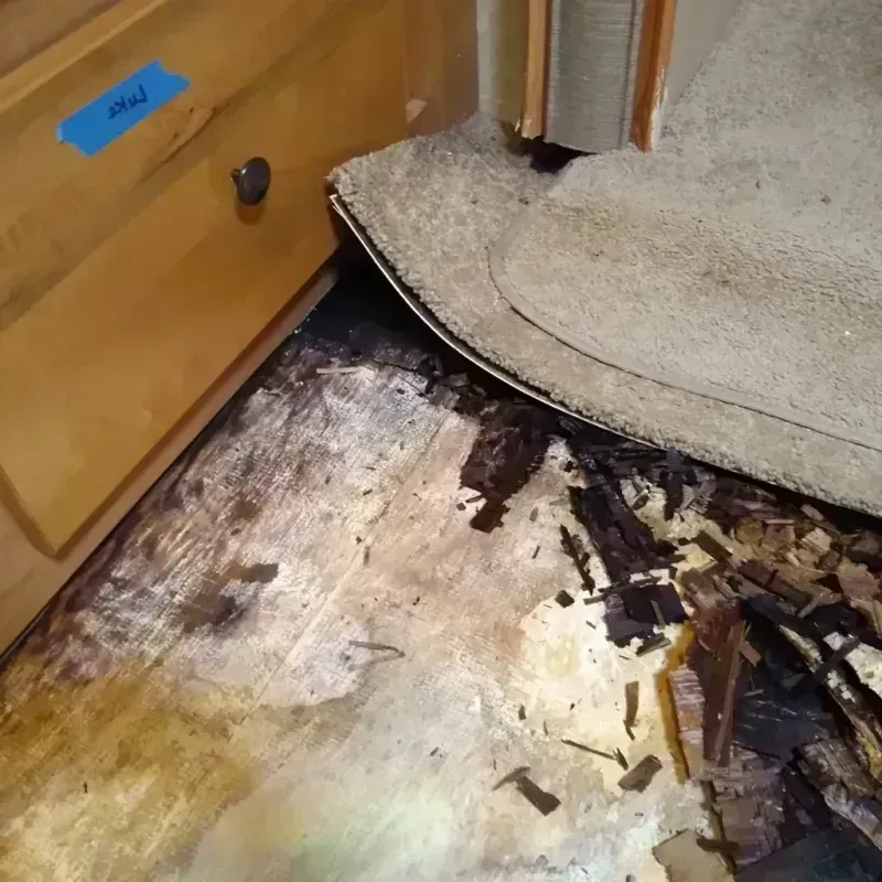 Wood Floor Water Damage in Big Lake, WA